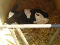 20140606_103119.jpg